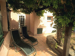 Back Terrace Wisteria