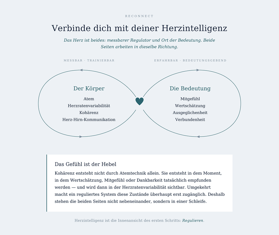 reconnect-herzintelligenz.png