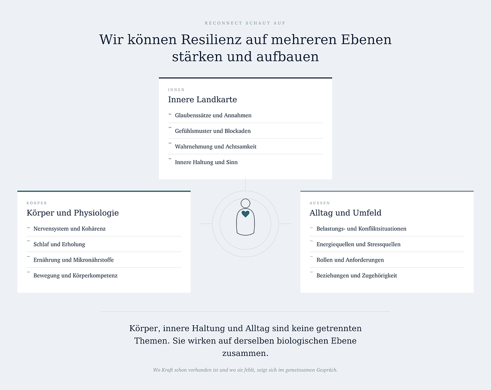 reconnect-schaubild 2.png