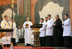 Veni sancte 2018
