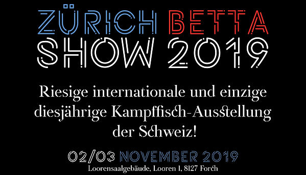 banner zbs 2019.jpg