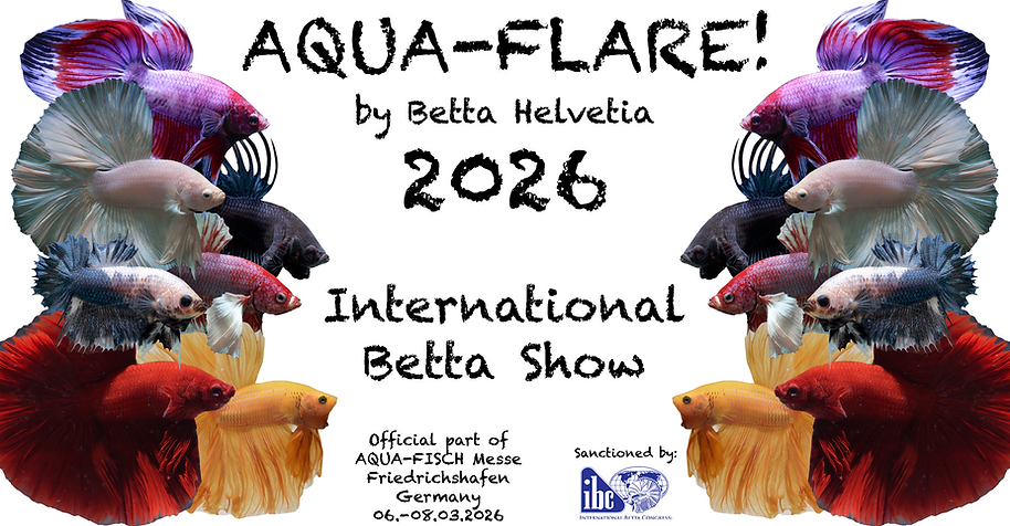 FB Event Banner AF2026.png