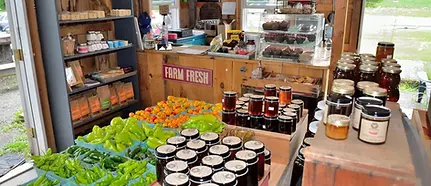 DAMN GOOD HONEY 2.webp