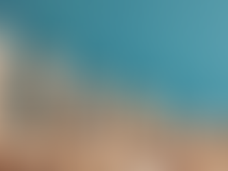 Choose the Best Fundraising Option for Your New Business