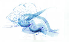 00051navawaxman_blue_gestures_drawing_watercolour.jpeg