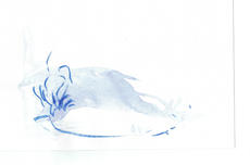 00035navawaxman_blue_gestures_drawing_watercolour.jpeg