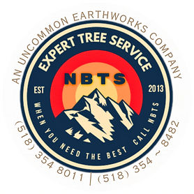 An Uncommon - 1_edited.jpg