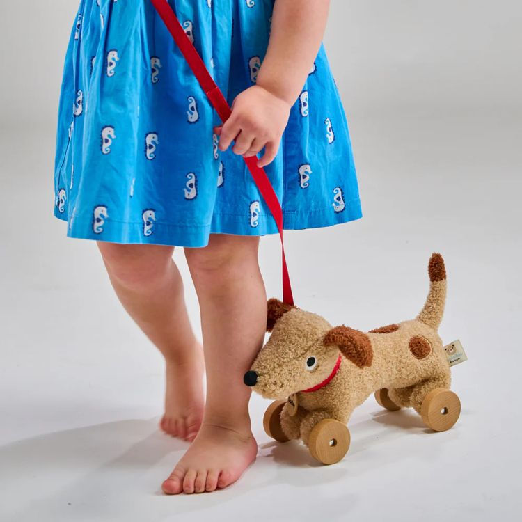 Thumbnail: Dudley Pull Along Dog