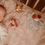 Thumbnail: Gift box cuddles - Fairy Garden