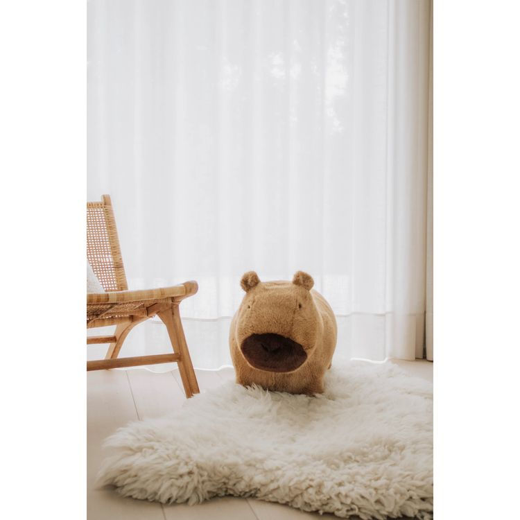 Thumbnail: Soft Bouncy Capybara