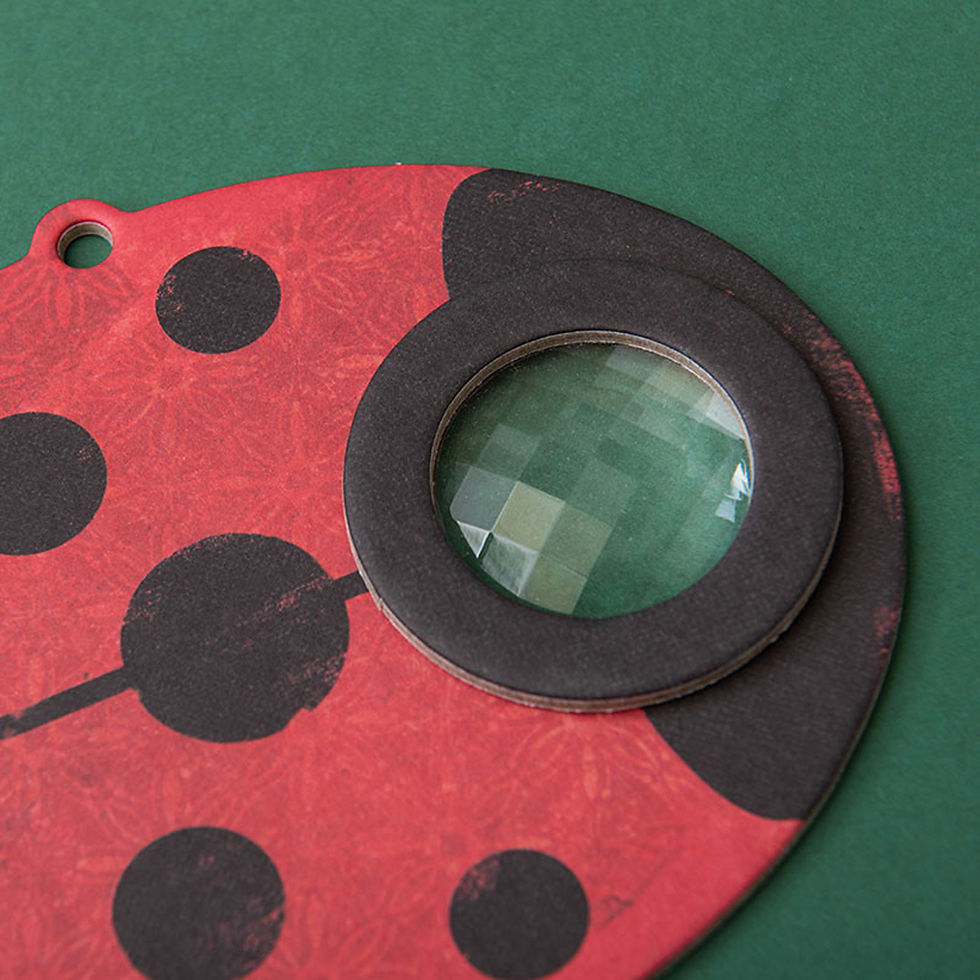 Thumbnail: Lady Bird Insect Eye Kaleidoscope