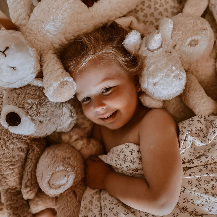 Thumbnail: Stuffed Animals - Mr. Pyxie - Teddy