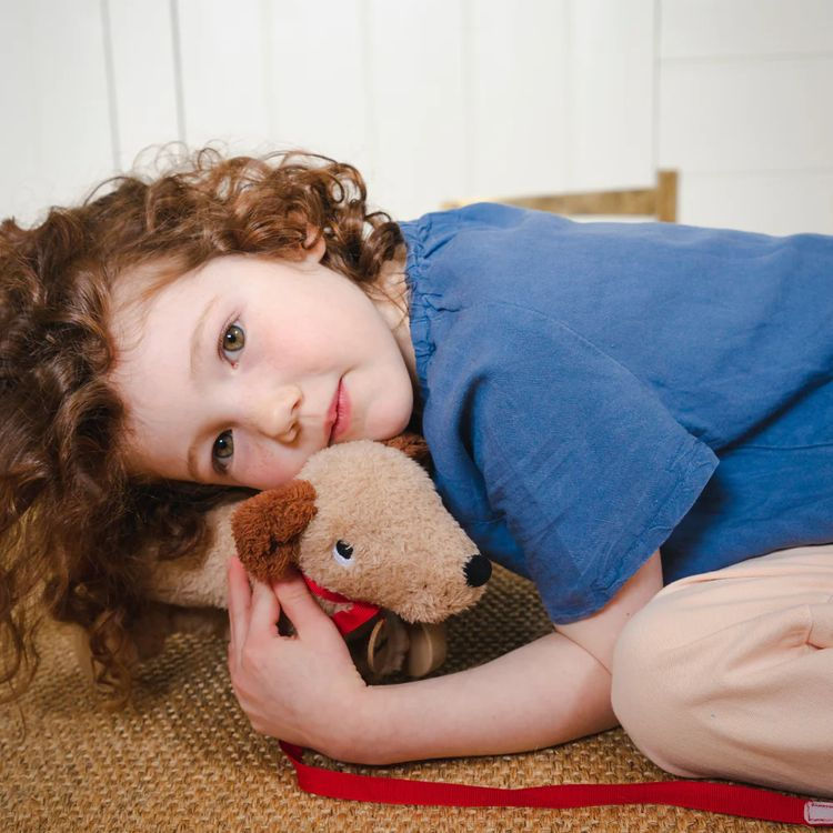 Thumbnail: Dudley Pull Along Dog