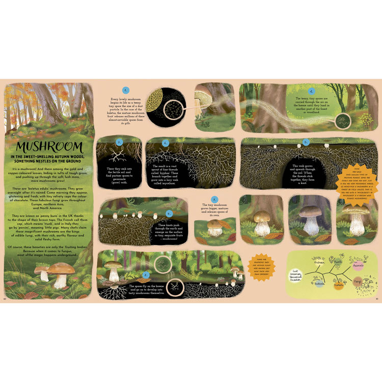 Thumbnail: Round and Round Goes Mother Nature