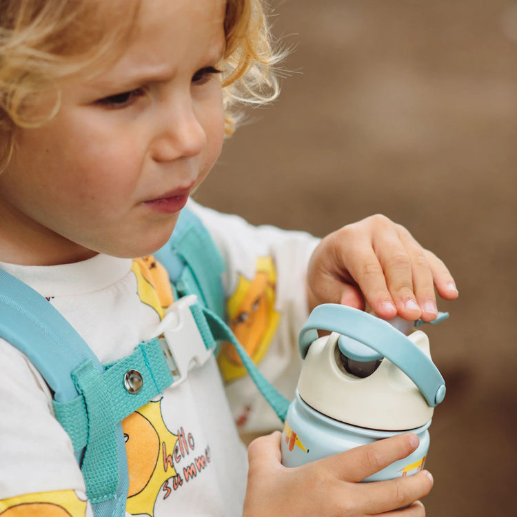 Thumbnail: Flying Dog Stainless Steel Drinking Bottle