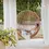 Thumbnail: Moon - Hanging Chair