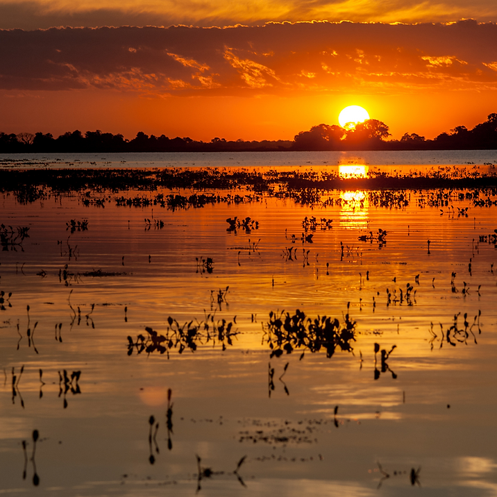 Sunset at Ibera National Park