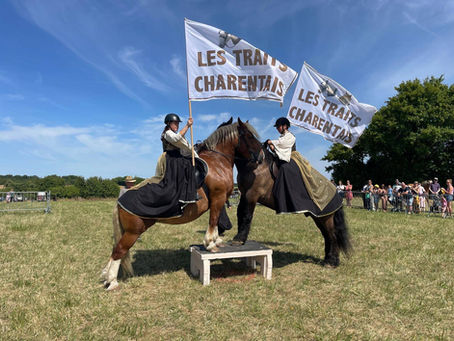Le Trait Charentais à la Fête du Vent de Villefagnan