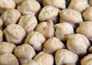 NOHUT-AZKAN CINSI (3-1).jpg