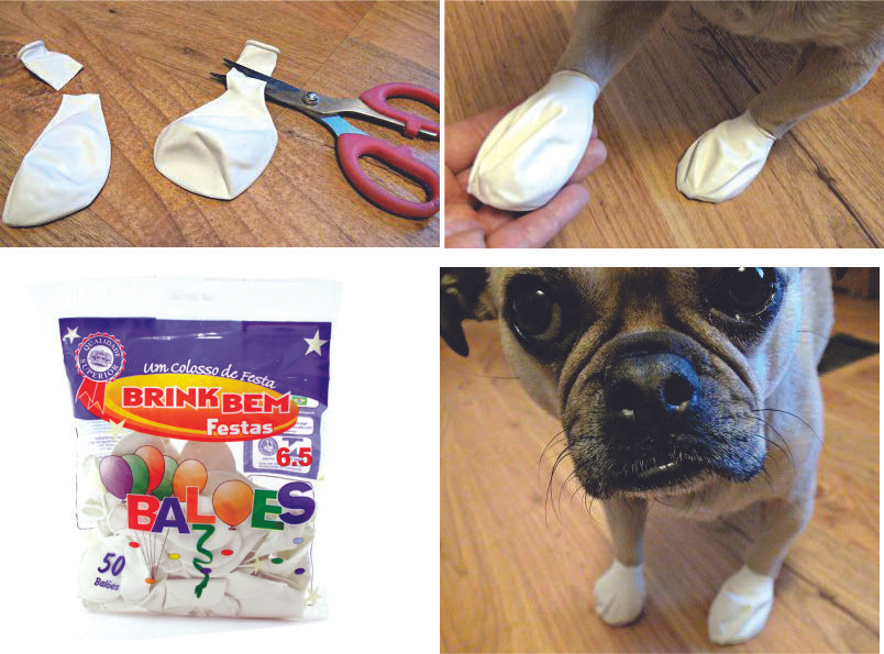 Sapatinho de bexiga para cachorro clearance