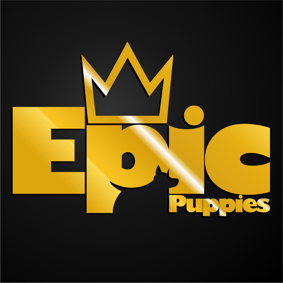 Epic Puppies Miami | Florida logo