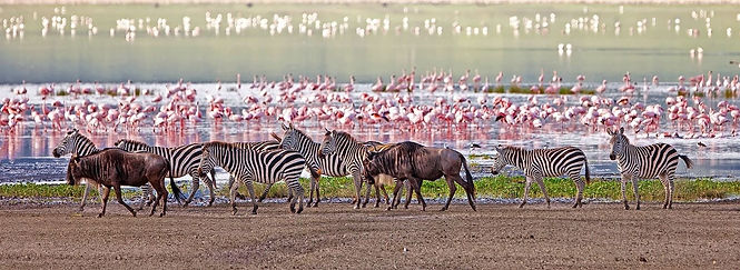 Ngorongoro crater.jpg