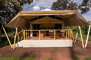 7 days luxury tanzania safari.jpg