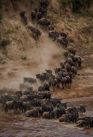 1 (4)_edited_edited.jpg