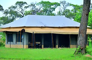 Tanzania Bush Camp