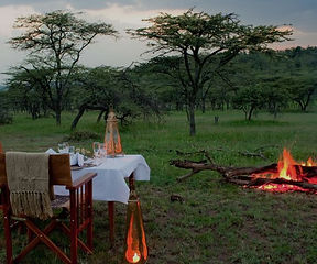Romantic bush dinners_edited.jpg