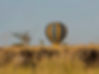 Tanzania Safari Tours_edited.jpg
