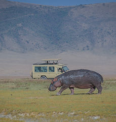 Ngorongoro crater_edited.jpg