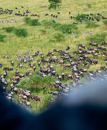 Tanzania Balloon Safari