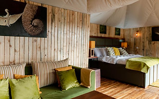 4 Days Luxury Tanzania Safari.jpg