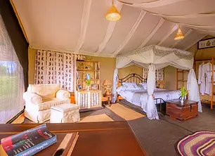 Tanzania Bush Camp