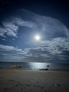 Villa à proximités des restaurant à Zanzibar