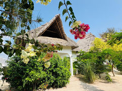 Meilleures villas à Zanzibar