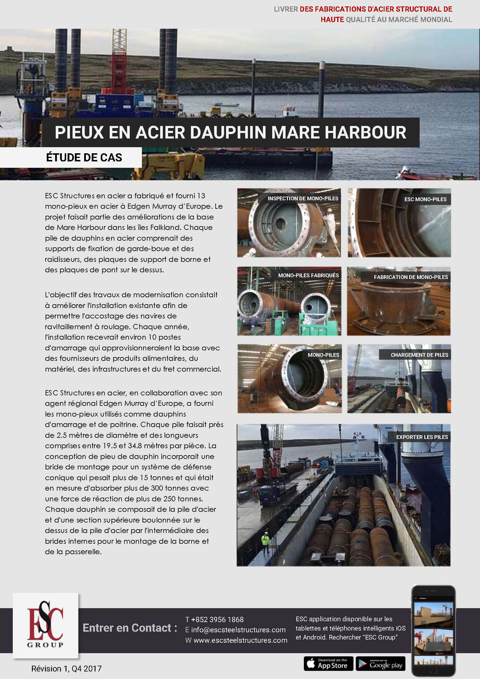 Pieux en acier dauphin Mare Harbour