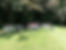 IMG-20190821-WA0008.jpg