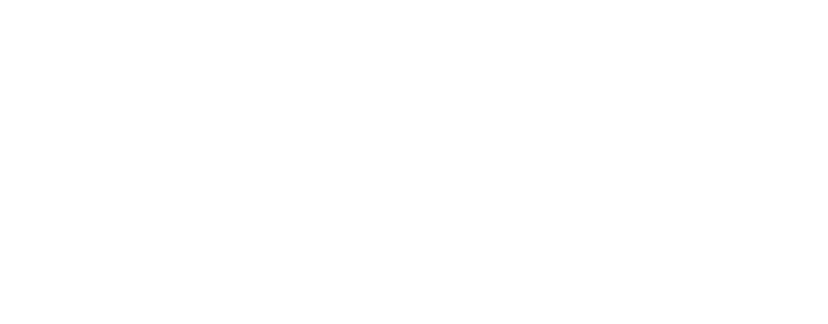 white A LOGO.png
