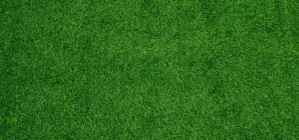 grass.jpg