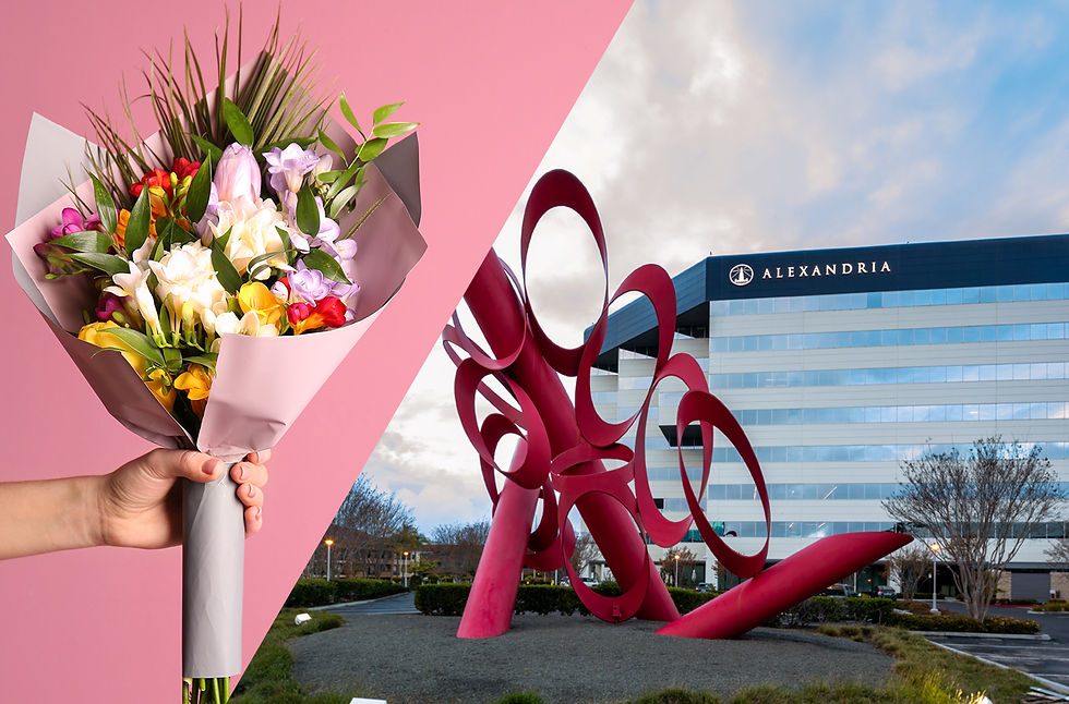Build Your Own Valentines Day Bouquet | 10:45am @ SD Tech