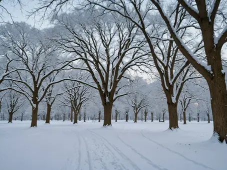 From Family Photos to Forever: The Unexpected Turn of Events at Harkness Park
