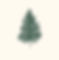 Fraser_Fir.jpg