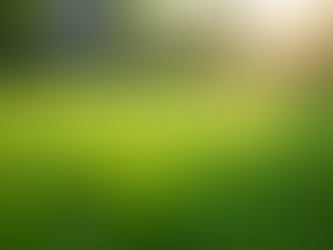 The Importance of Regular Lawn Mowing for Healthy Grass