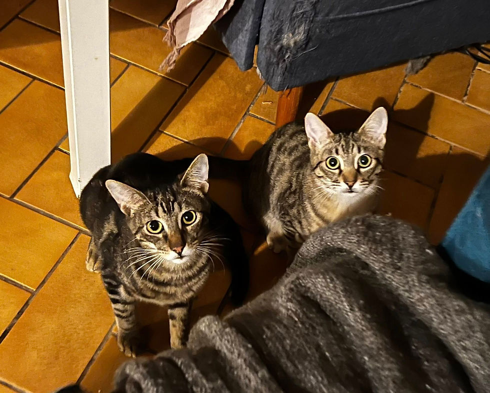 April et Atlas