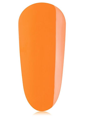 MINI The Gelbottle Rave on