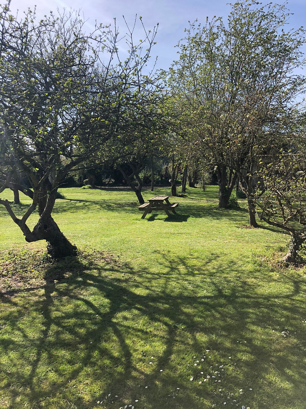 Campsite orchard lawn