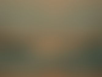 interview with linyang zhang