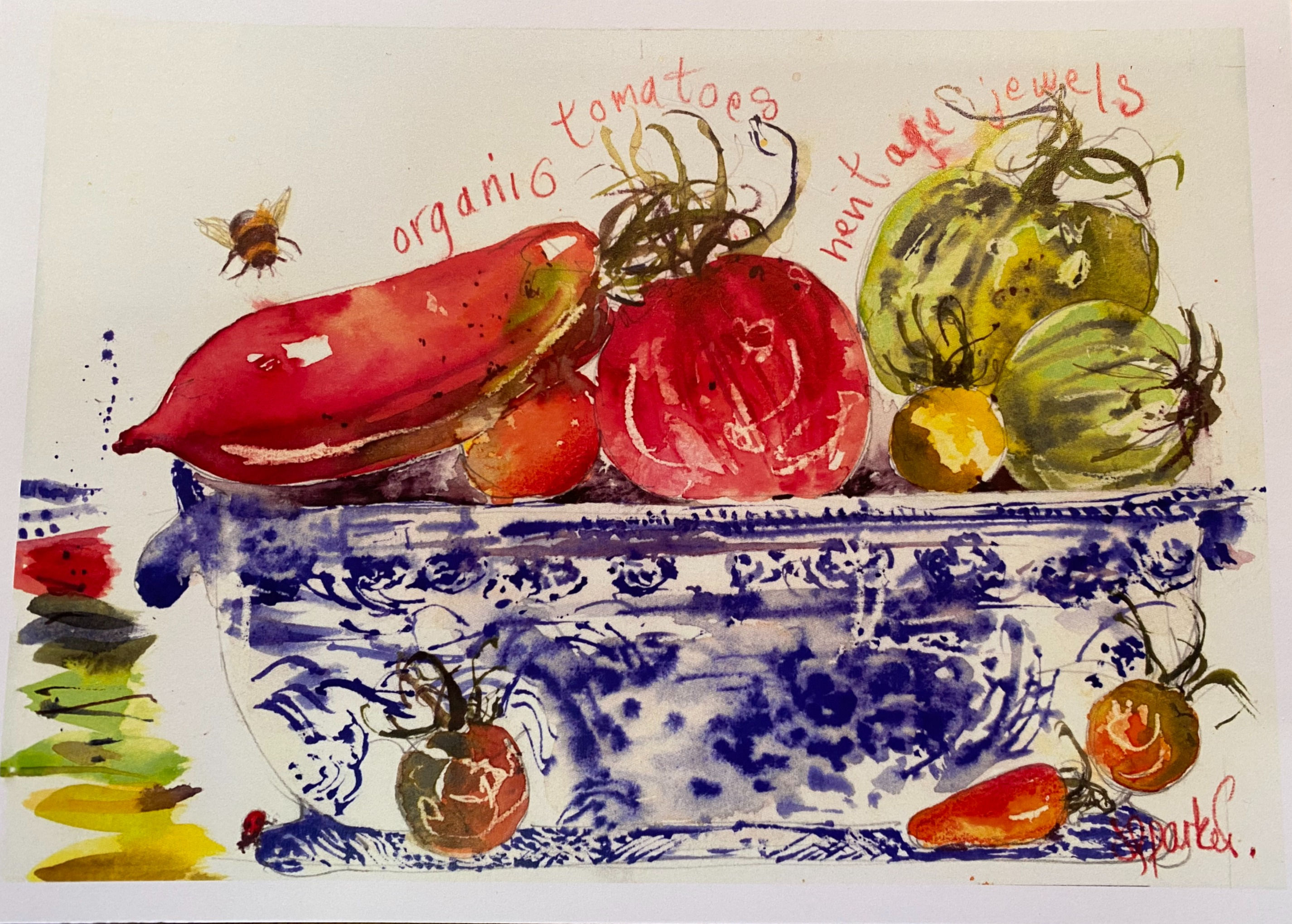 Tomato "organic heritage jewels"